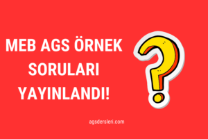 ags örnek sorular