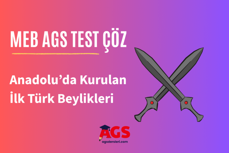 Anadolu’da Kurulan İlk Türk Beylikleri Online Test Çöz