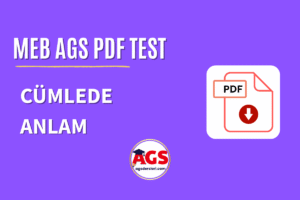 cümlede anlam ags pdf test